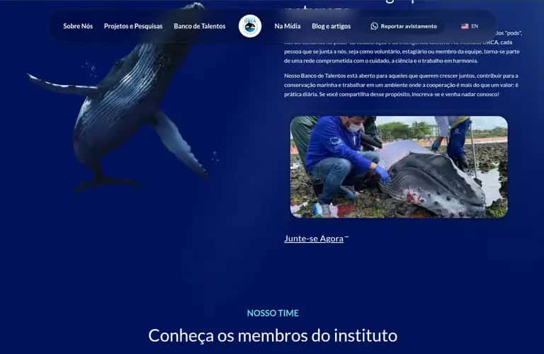 Instituto Orca