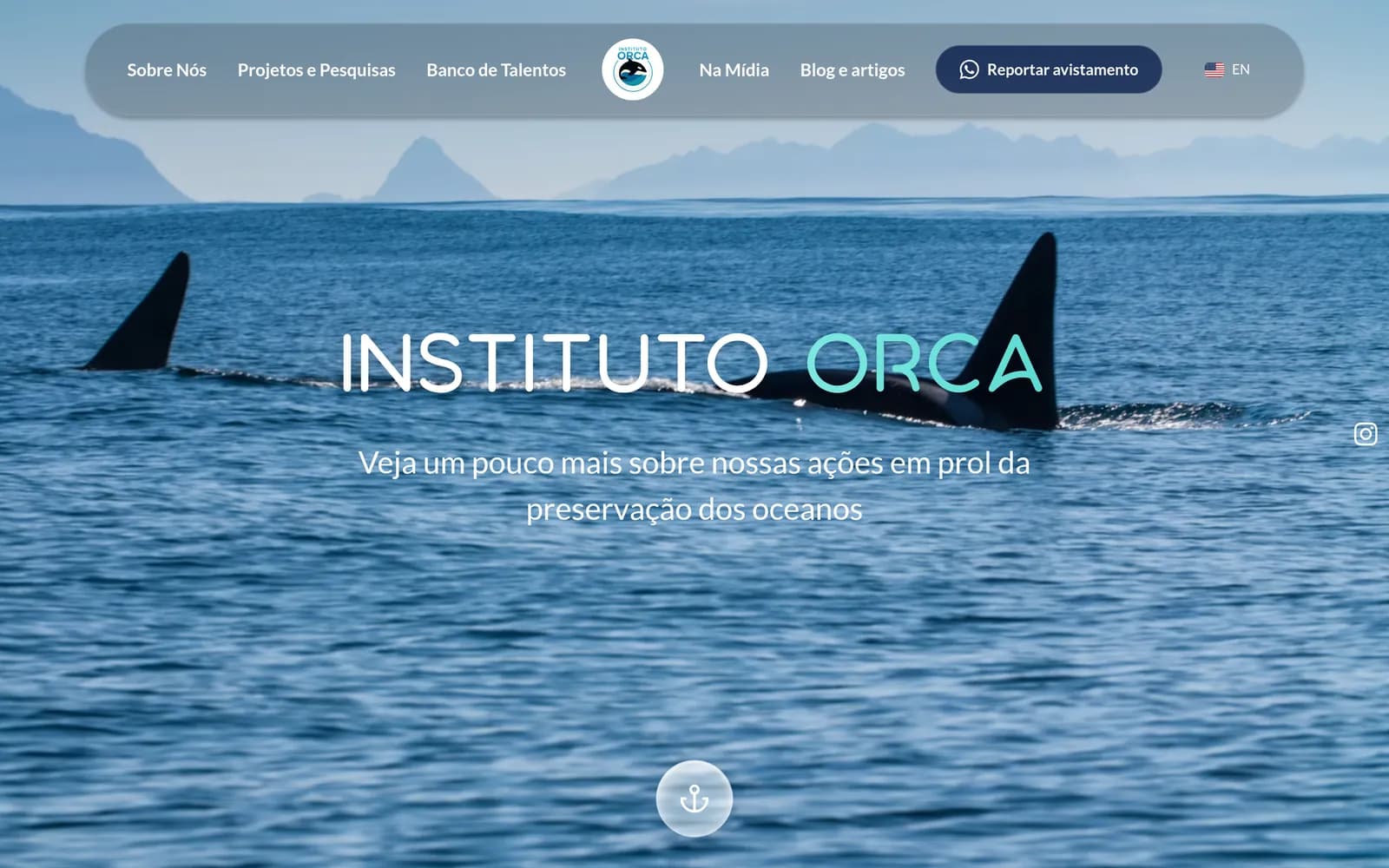 Home page of the Instituto Orca website on a computer