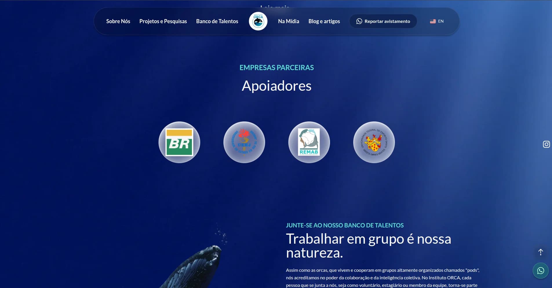 institutoorca/screenshot-04