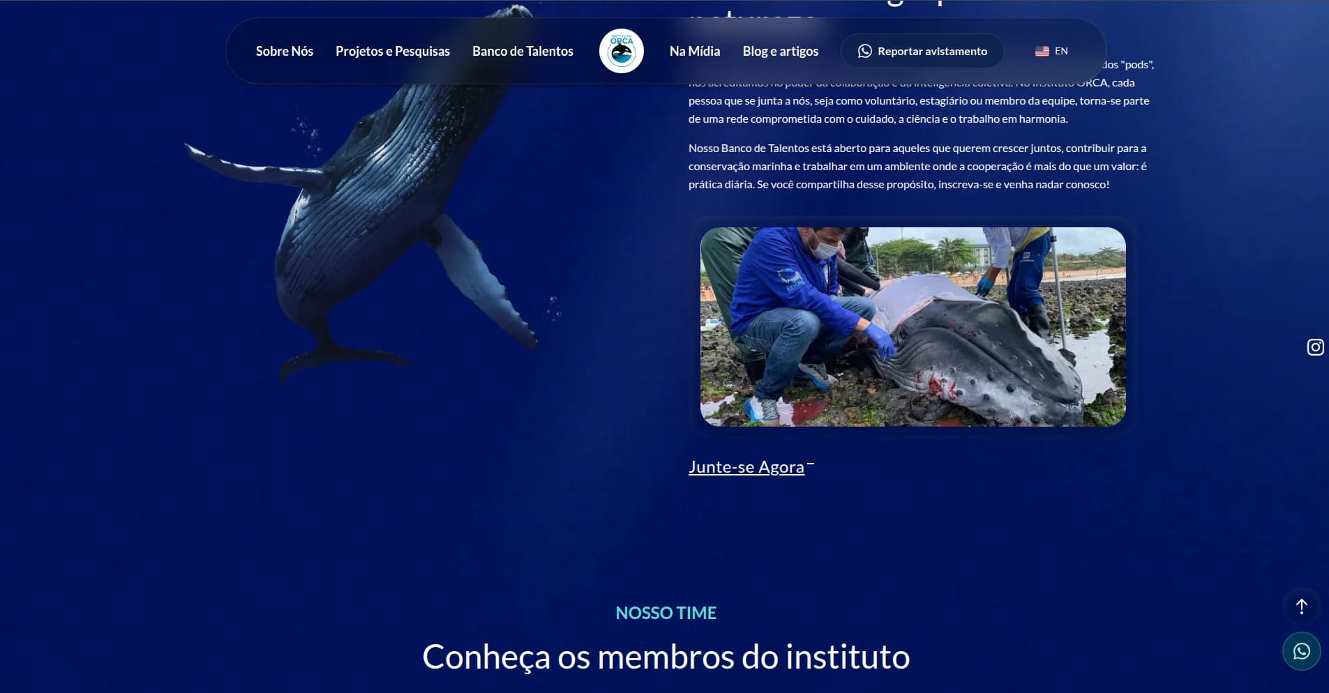 institutoorca/screenshot-05