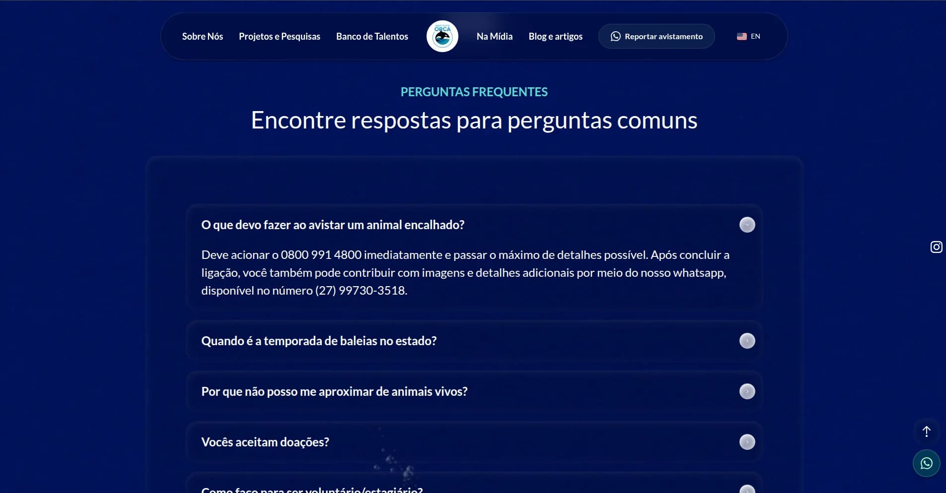 institutoorca/screenshot-07